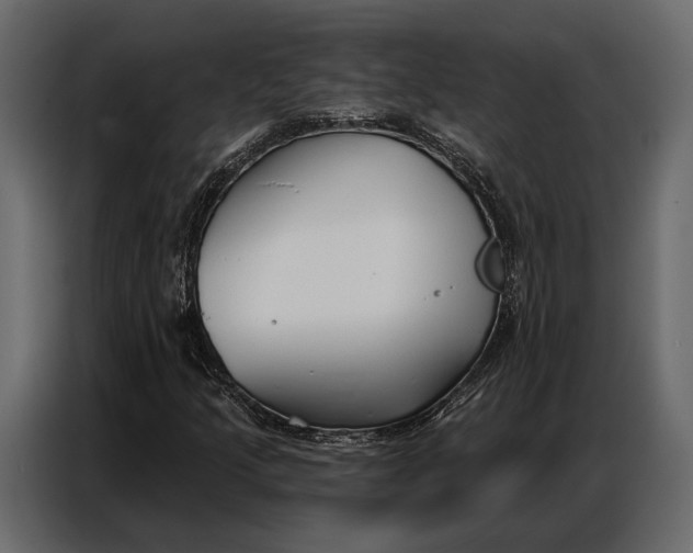 X0000086881205200705071155