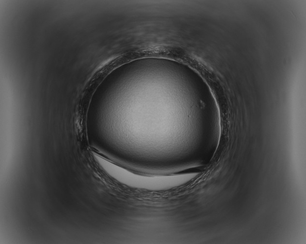 X0000086881206200705071155