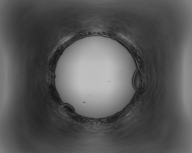 X0000086881207200705071155