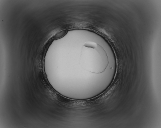 X0000086881211200705071155