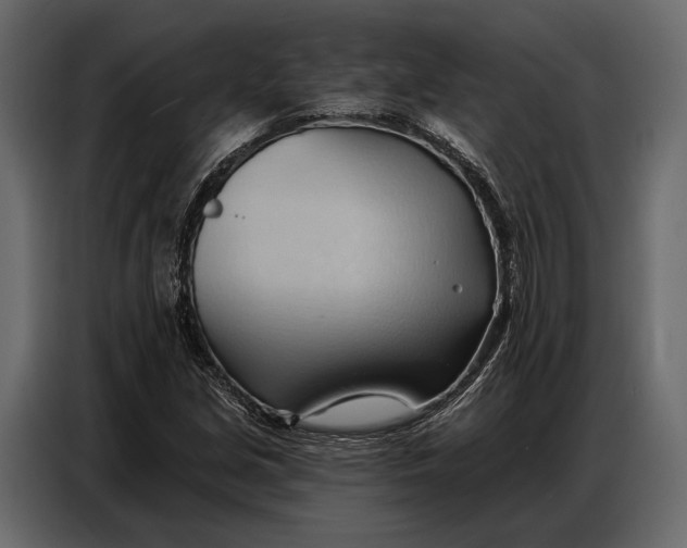 X0000086881213200705071155