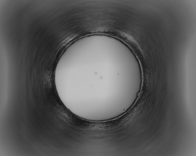 X0000086881217200705071155