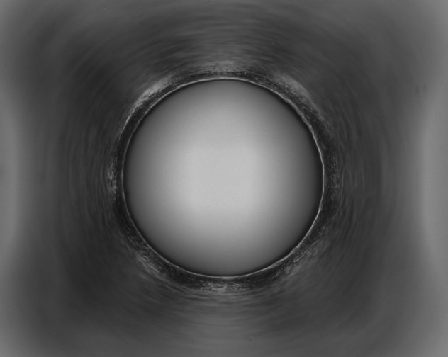 X0000086881218200705071155