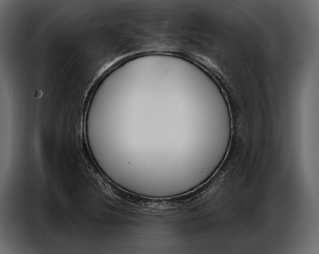 X0000086881220200705071155