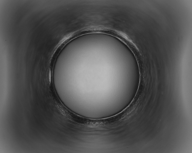 X0000086881221200705071155