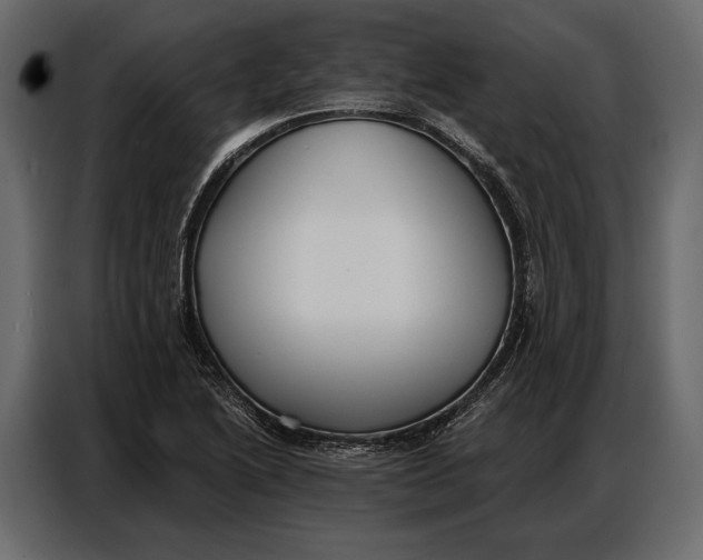 X0000086881222200705071155