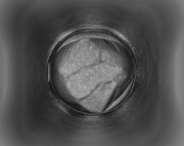 X0000086881223200705071155