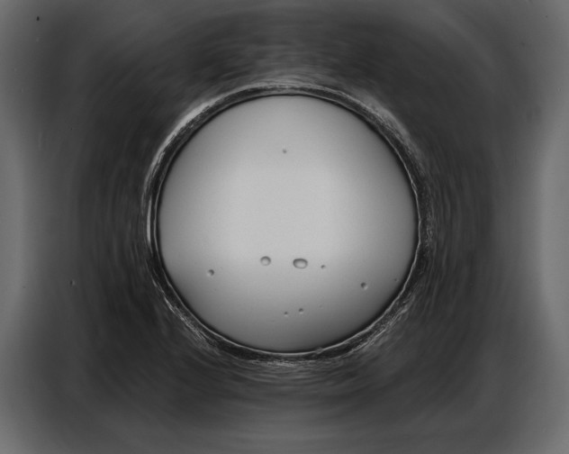 X0000086881224200705071155