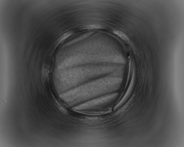 X0000086881225200705071155