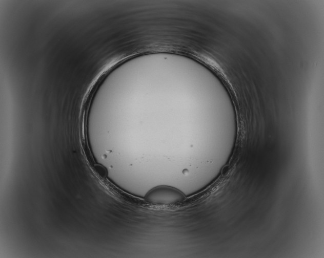 X0000086881227200705071155