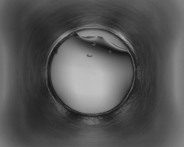 X0000086881229200705071155