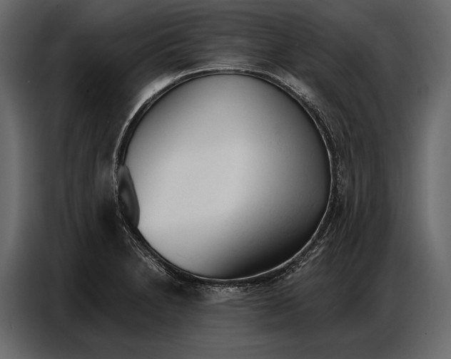 X0000086881230200705071155