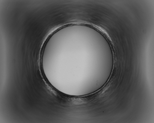 X0000086881231200705071155