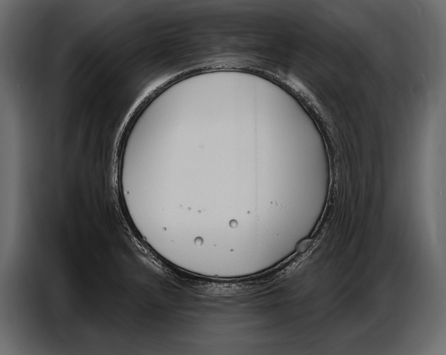 X0000086881232200705071155