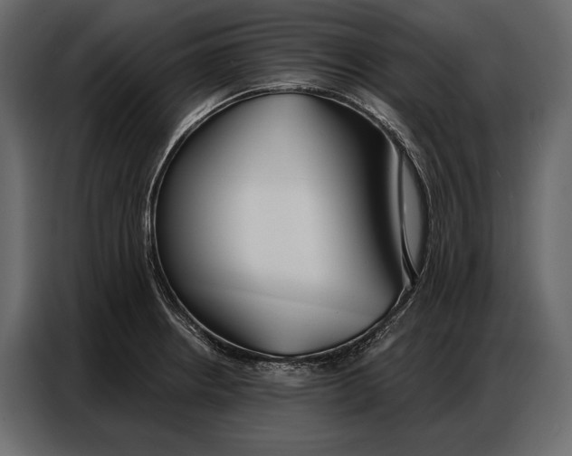 X0000086881234200705071155