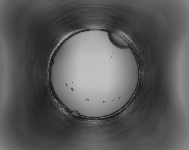 X0000086881236200705071155