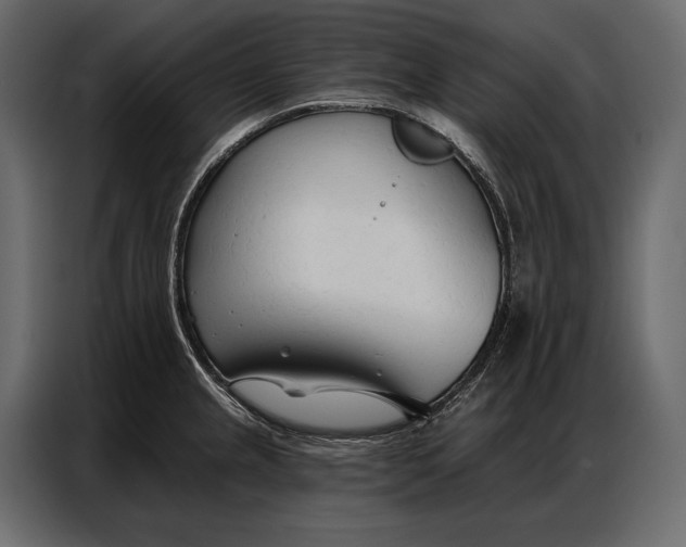 X0000086881237200705071155