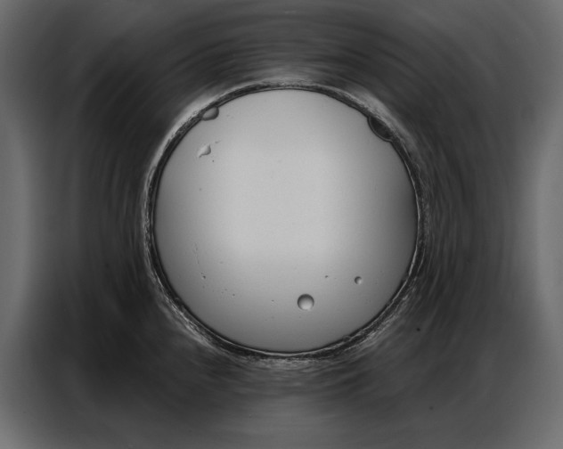 X0000086881240200705071155