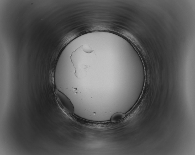 X0000086881241200705071155