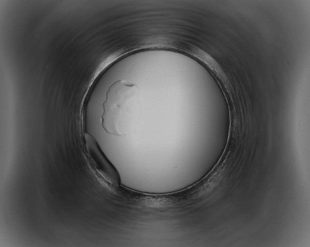 X0000086881242200705071155