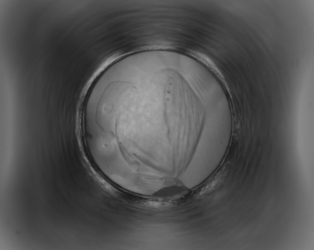 X0000086881243200705071155