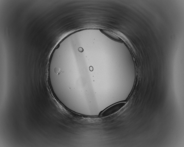 X0000086881244200705071155