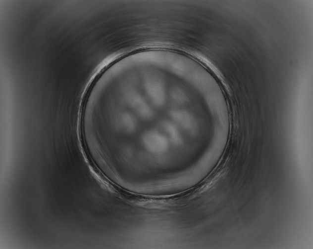 X0000086881245200705071155