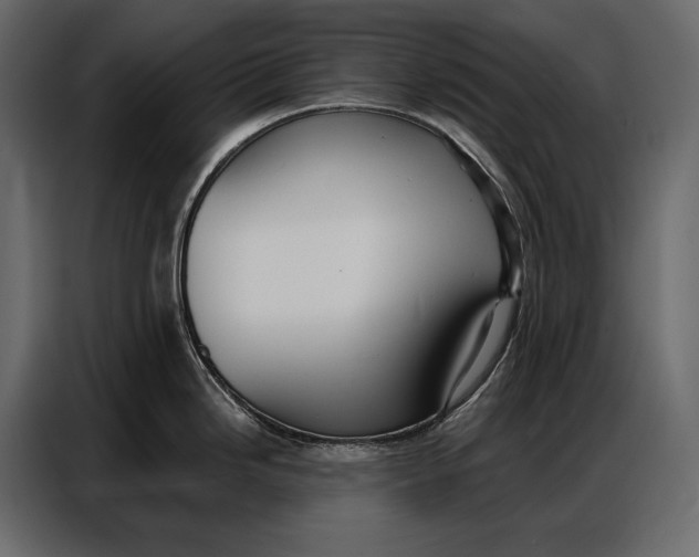 X0000086881246200705071155