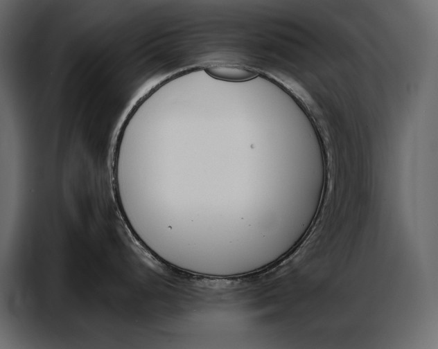 X0000086881248200705071155