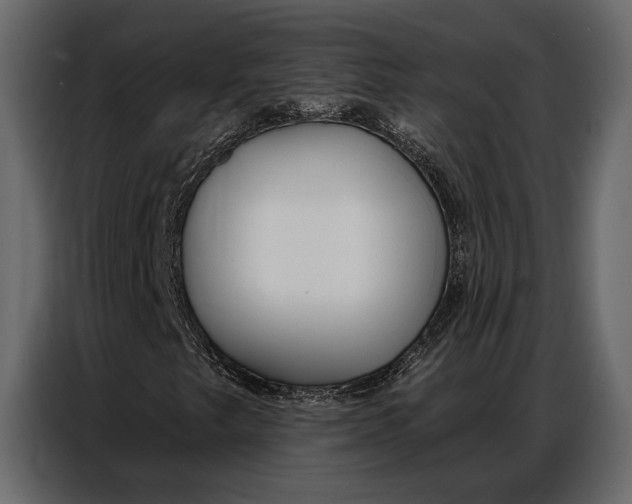 X0000086881249200705071154