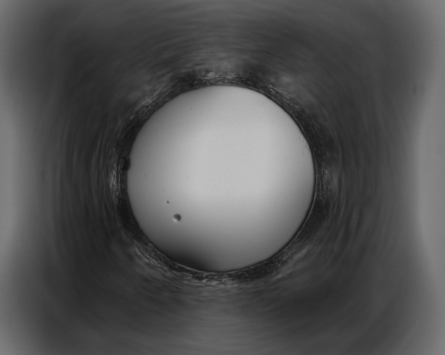 X0000086881250200705071154