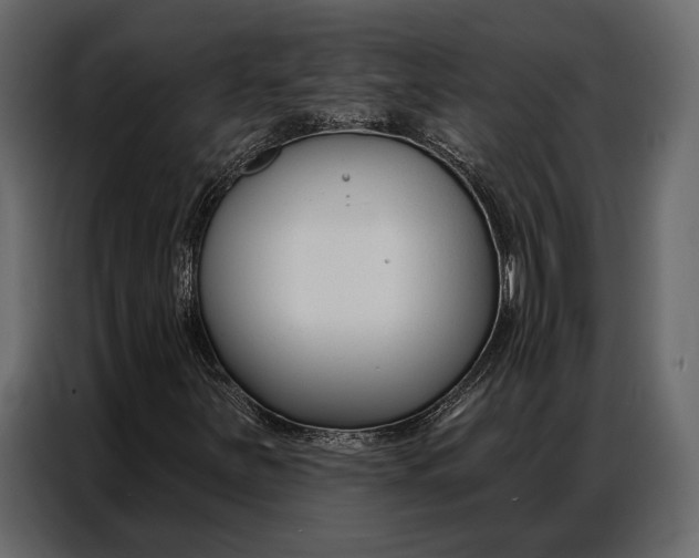 X0000086881251200705071154