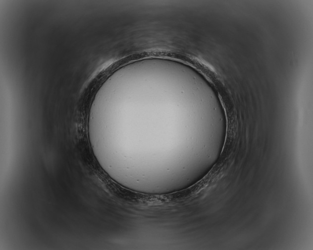 X0000086881255200705071154