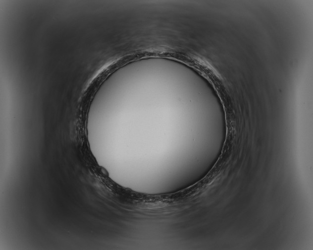 X0000086881256200705071154