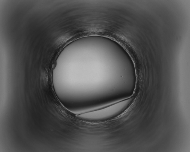 X0000086881257200705071154