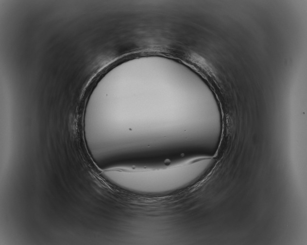 X0000086881260200705071154