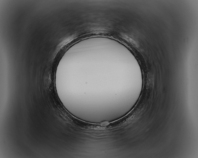 X0000086881261200705071154