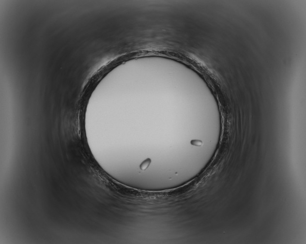 X0000086881262200705071154