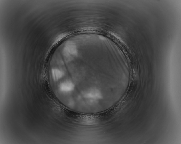 X0000086881266200705071154