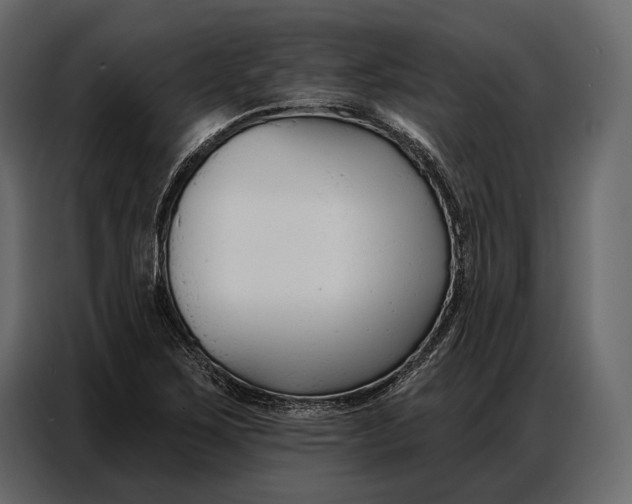 X0000086881267200705071154