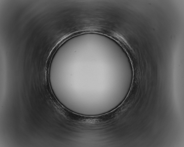 X0000086881268200705071154