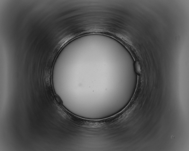 X0000086881273200705071154