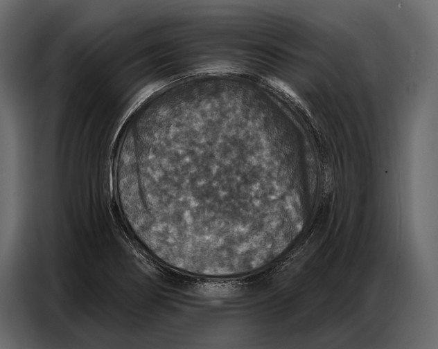 X0000086881274200705071154