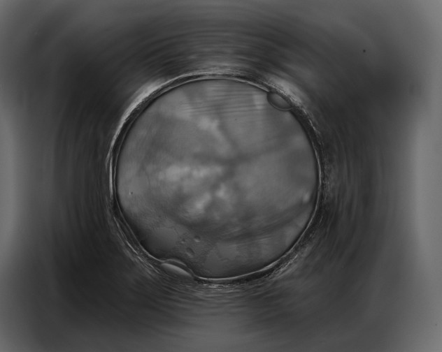 X0000086881275200705071154