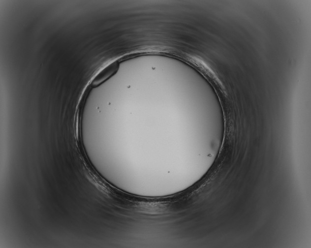 X0000086881276200705071154