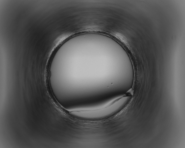 X0000086881277200705071154