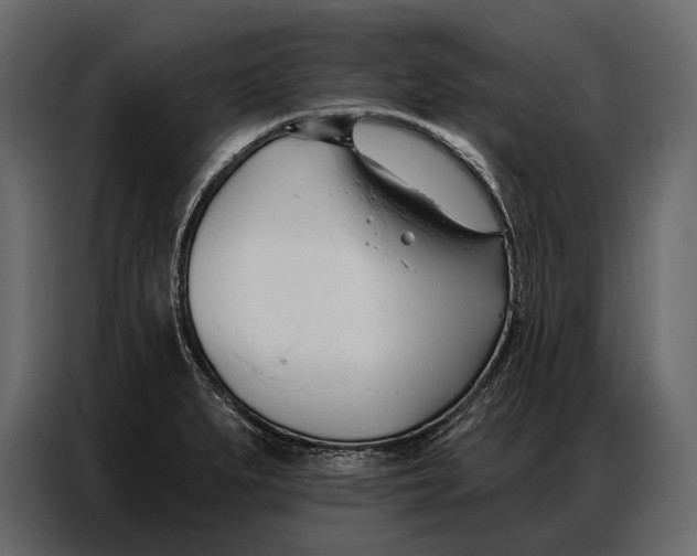 X0000086881279200705071154