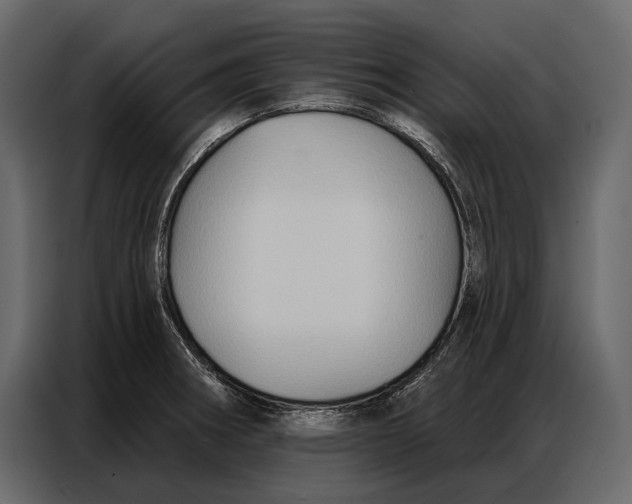 X0000086881282200705071154