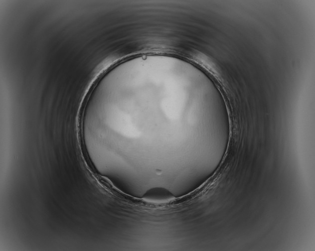 X0000086881283200705071154