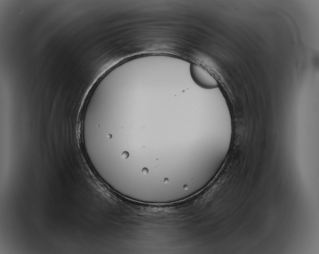 X0000086881284200705071154